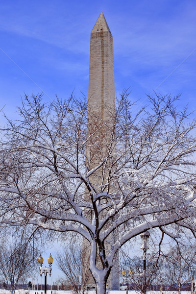 Stockfoto: Washington · Monument · sneeuw · Washington · DC · bomen · gebouw · stad