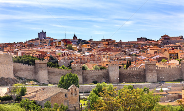 Avila Castle Walls Ancient Medieval City Cityscape Castile Spain Stock photo © billperry