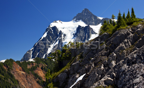 Mount Shuksan Close Up Evergreens Artist Point Washington State Stock photo © billperry