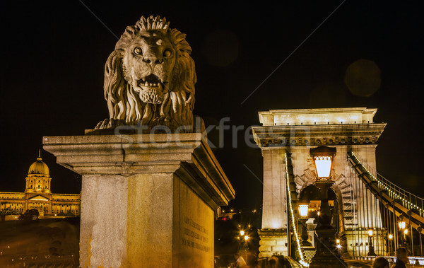 Foto stock: Cadena · puente · león · Budapest · Hungría · edificio