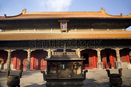 Platz China Drachen Peking Baum Gebäude Stock foto © billperry