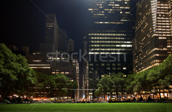 Parque Nueva York horizonte noche hierba verde apartamento Foto stock © billperry