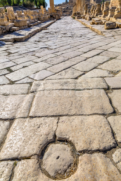 Columns Ancient Roman Road City Jerash Jordan Stock photo © billperry