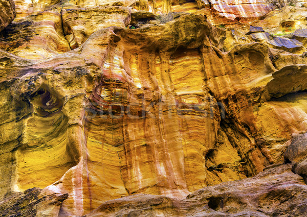 Sarı dış kanyon Ürdün yürüyüş Stok fotoğraf © billperry