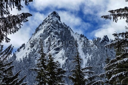 McClellan Butte Snow Mountain Peak Snoqualme Pass Washington Stock photo © billperry