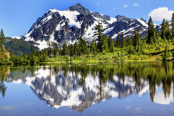 Picture Lake Evergreens Mount Shuksan Washington USA Stock photo © billperry