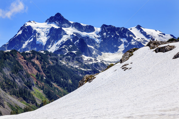 Hiking Snowfields Artist Point Glaciers Mount Shuksan Washington Stock photo © billperry