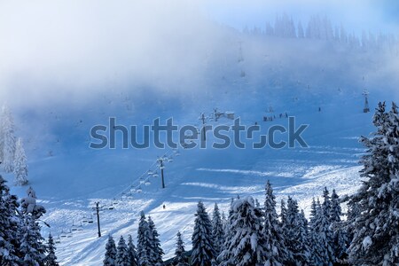 Ski School in the Fog Chairlifts at Snoqualme Pass Washington Stock photo © billperry