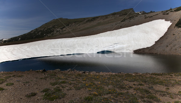 Frozen Lake Reflection Mount Rainier Sunrise Snow Mountain  Stock photo © billperry