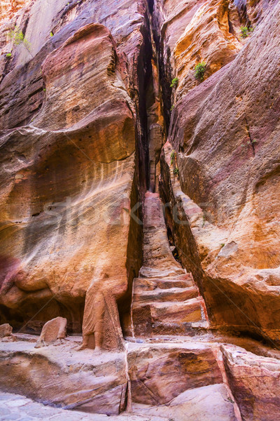 Klatka schodowa zewnętrzny kanion wejście Jordania kolorowy Zdjęcia stock © billperry