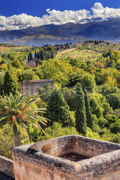 Alhambra Castle Tower Cityscape Farm Sierra  Nevada Mountains Gr Stock photo © billperry