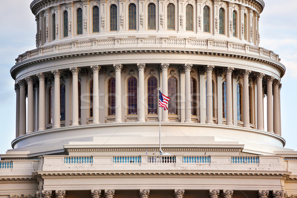 домах конгресс Вашингтон купол здании город Сток-фото © billperry