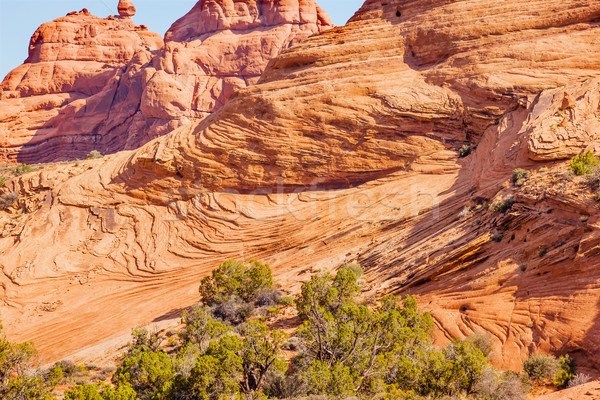 Sandstone Rock Layers Garden of Eden Arches National Park Moab U Stock photo © billperry