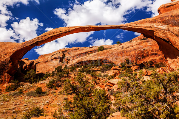 Landscape Arch Blue Skies Rock Canyon Devils Garden Arches Natio Stock photo © billperry