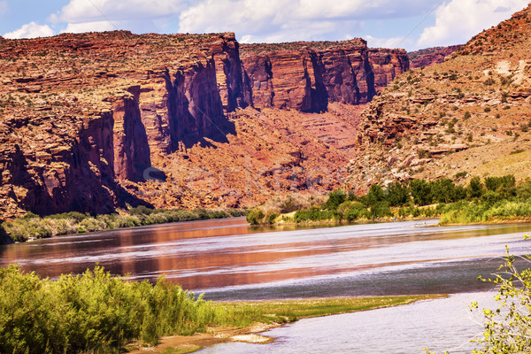 Colorado rivier rock canyon reflectie groen gras Stockfoto © billperry