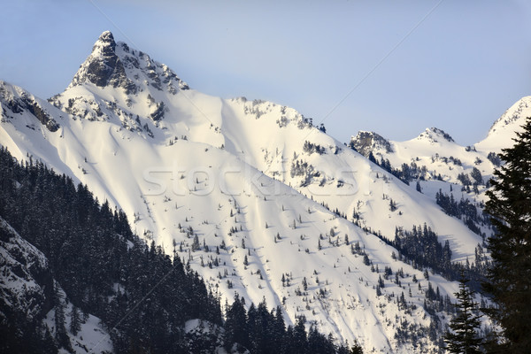 Kendall Peak Snow Mountain Snoqualme Pass Washington Stock photo © billperry