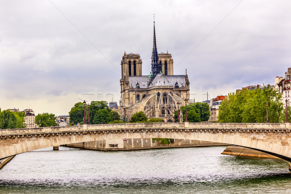 Towers Seine River Bridge Notre Dame Cathedral Paris France Stock photo © billperry