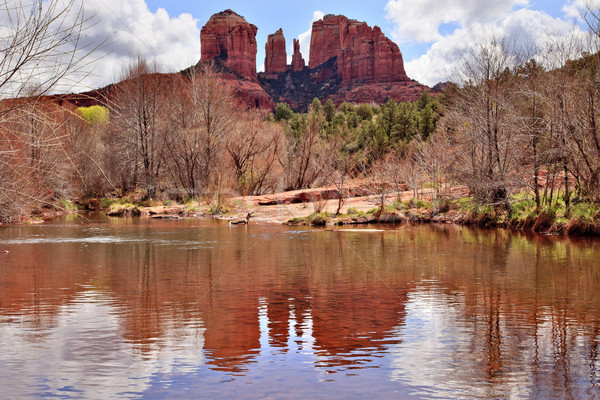 [[stock_photo]]: Cathédrale · Rock · canyon · chêne · crique · réflexion