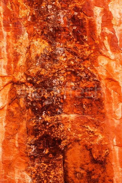 Brown Yellow Orange Rock Canyon Abstract Devils Garden Arches Na Stock photo © billperry