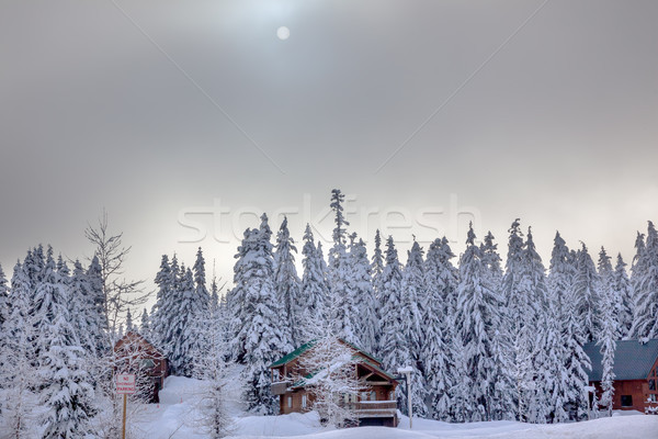 Sun Fog Snow Covered Evergreen Trees Wood Bulidngs at Snoqualme  Stock photo © billperry