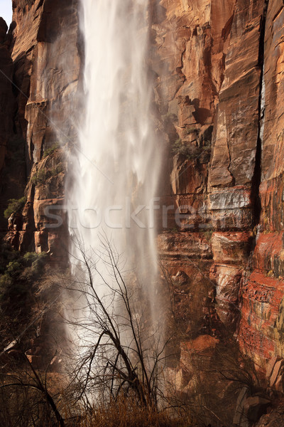 Weeping Rock Waterfall Red Rock Wall Zion Canyon National Park U Stock photo © billperry