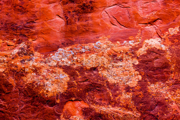 Red Rock Canyon Abstract Devils Garden Arches National Park Moab Stock photo © billperry