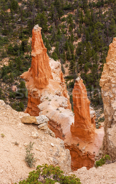 Sharp Pointed Hoodoos Bryce Point Bryce Canyon National Park Uta Stock photo © billperry
