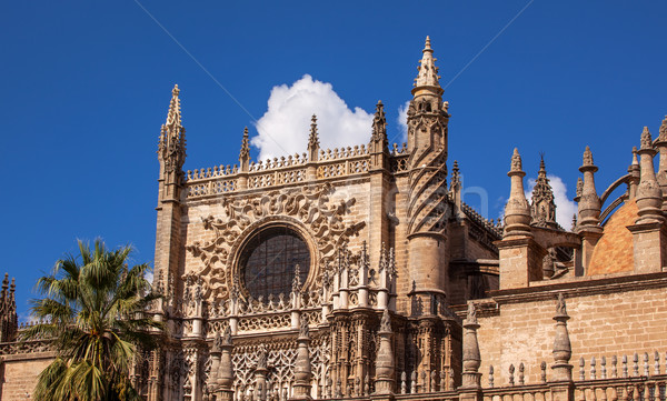 Prince Door Rose Window Seville Cathedral Spain Stock photo © billperry