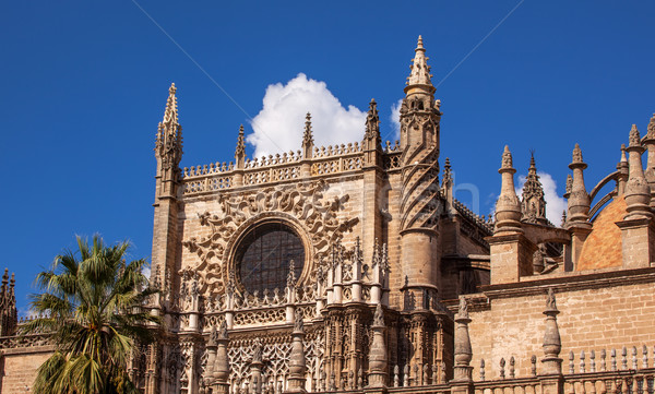 Príncipe puerta aumentó ventana catedral España Foto stock © billperry