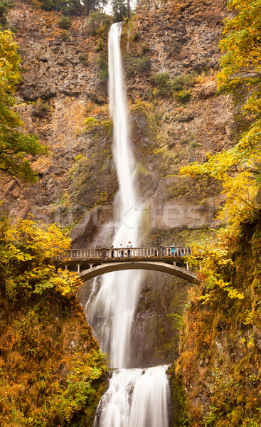 Multnomah Falls Waterfall Columbia River Gorge, Oregon Pacific N Stock photo © billperry