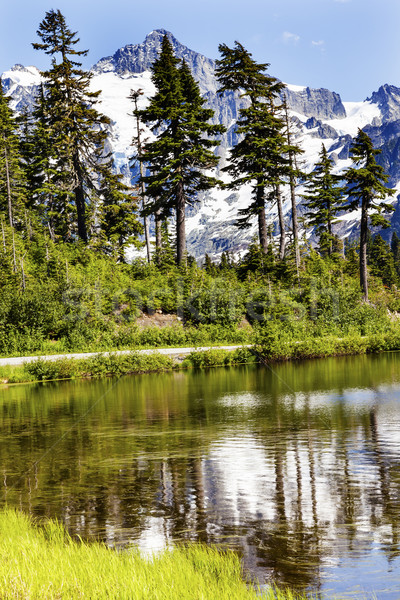 Picture Lake Evergreens Mount Shuksan Washington USA Stock photo © billperry