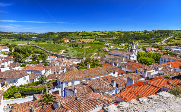 Castle Walls Orange Roofs Farmland Countryside Obidos Portugal Stock photo © billperry