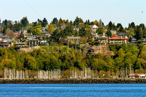 Sailboat Yachts Marina Cliff Buildings Waterfront Seattle Washin Stock photo © billperry