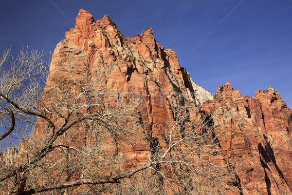 Red Rock Cliff Court of Patricarchs Zion Canyon National Park Ut Stock photo © billperry