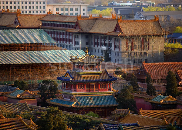 Albastru roşu balaur forbidden city Beijing China Imagine de stoc © billperry