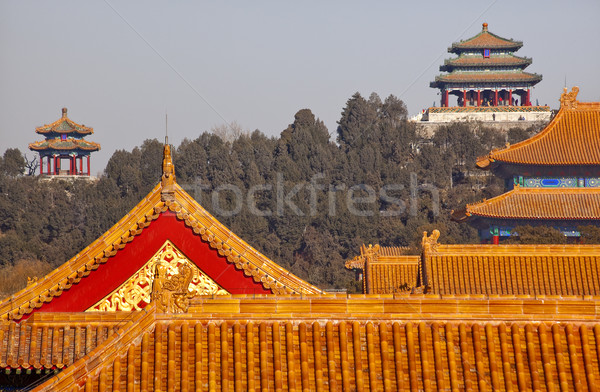 Parque amarillo techos palacio ciudad Foto stock © billperry