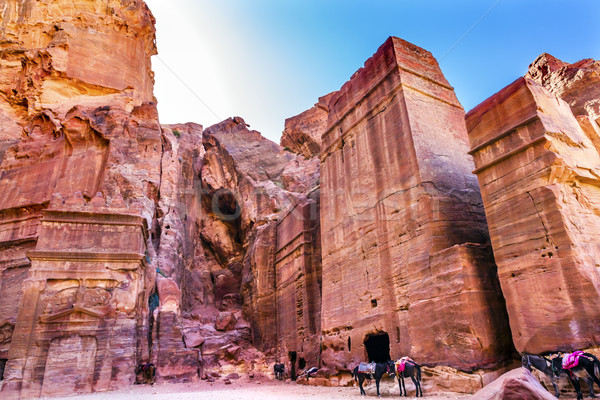 Gül kırmızı kaya öğleden sonra sokak Ürdün Stok fotoğraf © billperry