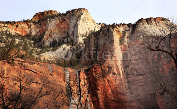 Temple of Sinawava Red Rock Wall Zion Canyon National Park Utah  Stock photo © billperry