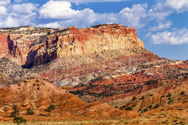 Capitol Reef Sandstone Mountain Capitol Reef National Park Torre Stock photo © billperry