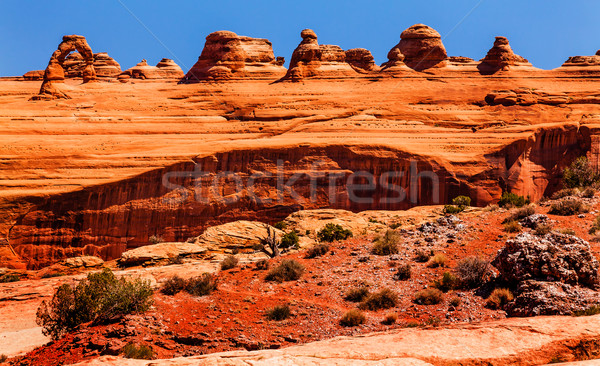 Delicate Arch Rock Canyon Arches National Park Moab Utah  Stock photo © billperry