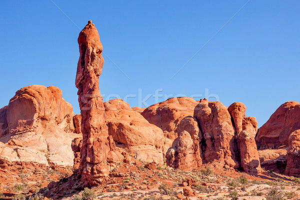 Rock Pillar Sandstone Hoodoo Arches National Park Moab Utah  Stock photo © billperry