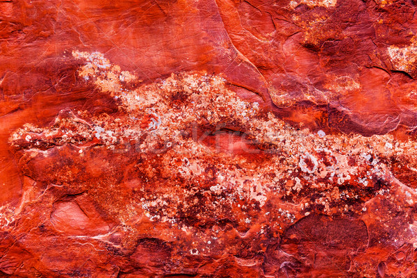 Rood rock canyon abstract tuin park Stockfoto © billperry