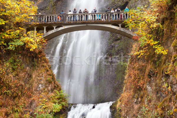 Stock foto: Wasserfall · Fluss · Oregon · Herbst · fallen · Brücke