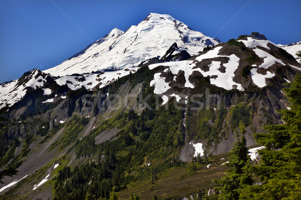 Mount Baker from Artist Point Washington State Stock photo © billperry