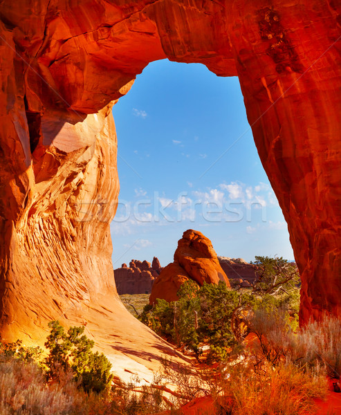 Pine Tree Arch Devils Garden Arches National Park Moab Utah  Stock photo © billperry