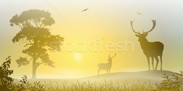 Male Stag Deer Stock photo © Binkski