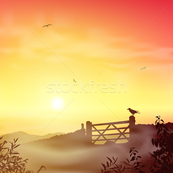 Puslu sabah manzara çiftlik kapı gündoğumu Stok fotoğraf © Binkski