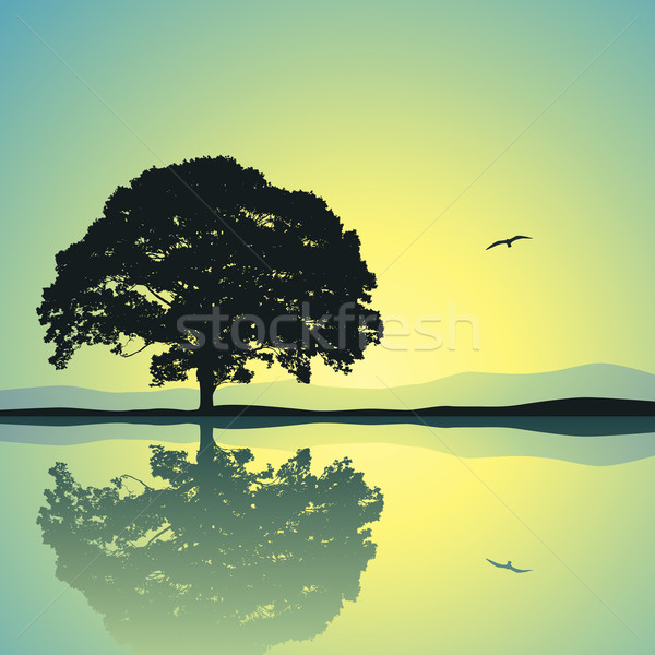 Egyedüli fa áll egyedül tükröződés víz Stock fotó © Binkski