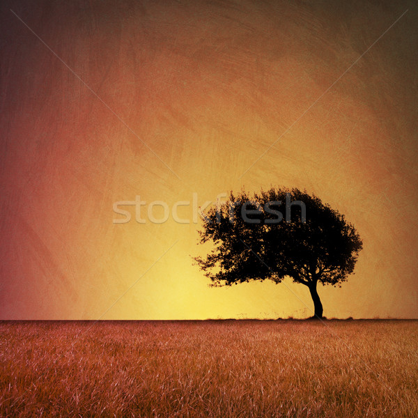 Baum künstlerischen Jahrgang Foto Grunge Stock foto © Binkski
