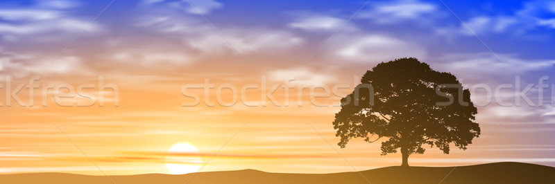 Egyedüli fa ködös naplemente napfelkelte vektor Stock fotó © Binkski